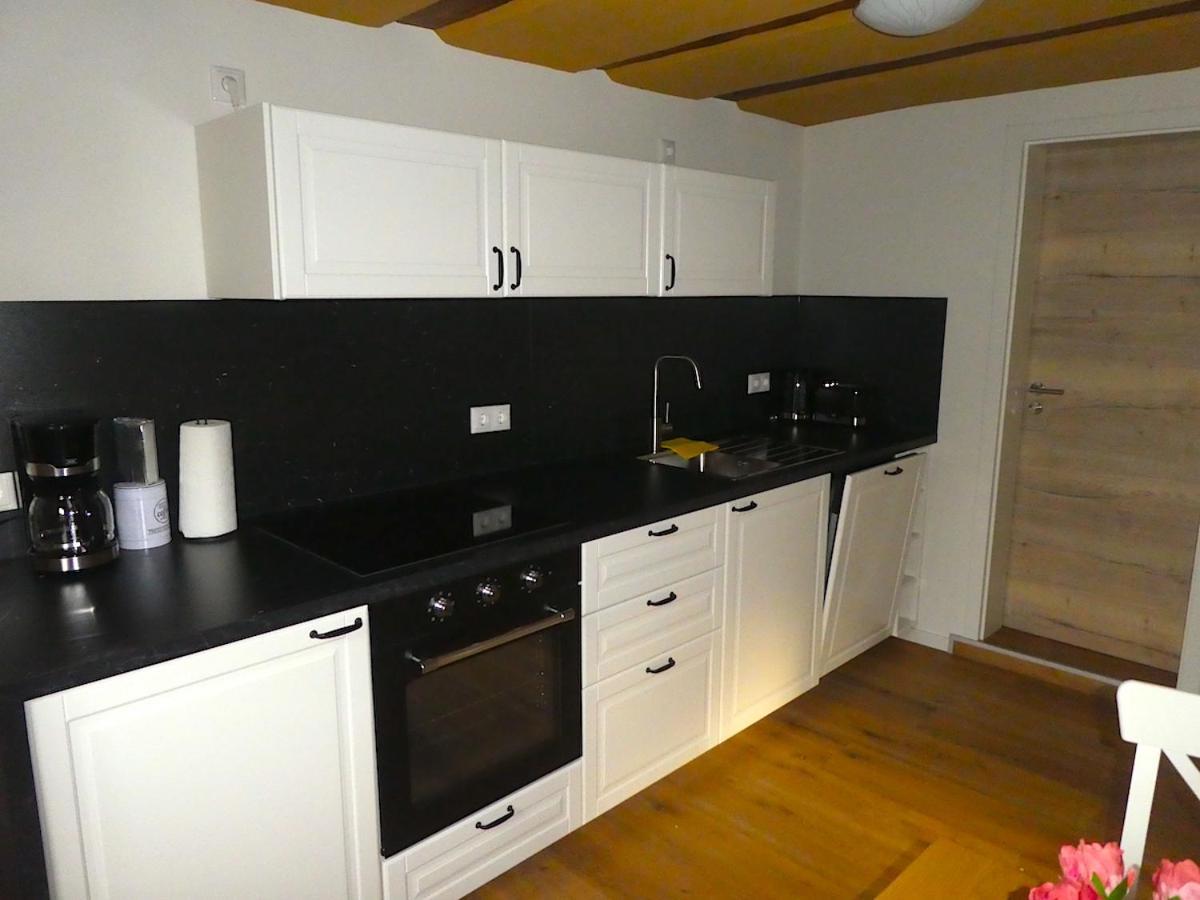 Alte Schreinerei Apartman Lutzelbach Kültér fotó